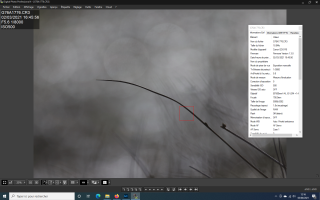 Capture d’écran (3).png
