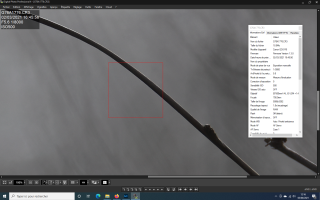Capture d’écran (4).png