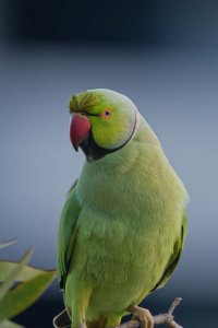 DSC_3713_DxO.jpg DSC_3713_DxO.jpg