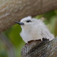 DSC_3778_DxO.jpg DSC_3778_DxO.jpg