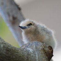 DSC_3834_DxO.jpg DSC_3834_DxO.jpg