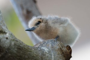 DSC_3857_DxO.jpg DSC_3857_DxO.jpg