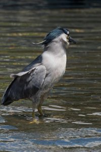 DSC_6215_DxO.jpg