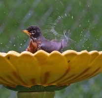 5D3_0740 ps3 fix - Copy.jpg