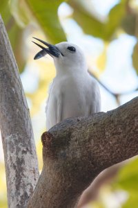 DSC_6763_DxO.jpg DSC_6763_DxO.jpg