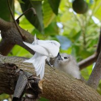 DSC_6830_DxO.jpg DSC_6830_DxO.jpg