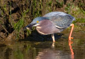 IMG_6322.jpg IMG_6322.jpg