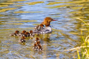 20210516 1228-01.jpg