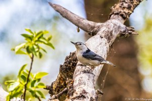 20210517 331-01.jpg 20210517 331-01.jpg