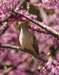 A03_1485_1_2k90%.jpg A03_1485_1_2k90%.jpg