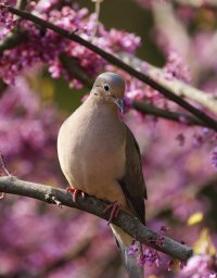 A03_1491_1_2k90%.jpg A03_1491_1_2k90%.jpg