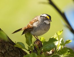 A03_1560_1_2k90%.jpg A03_1560_1_2k90%.jpg