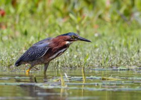 IMG_0059-8 copie.jpg