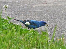 5D3_1689 ps3 fix - Copy.jpg