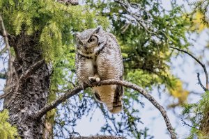 20210522 1128-01.jpg