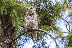 20210522 1216-01.jpg