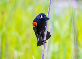 20210620 1204-01.jpg