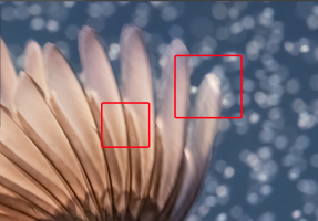 Screen Shot 2021-06-28 at 6.11.19 PM.png