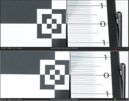 Screen Shot 2021-07-21 at 7.54.48 AM.jpg