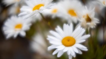 RF 100 2nd Test-3.jpg