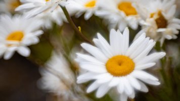 RF 100 2nd Test-6.jpg