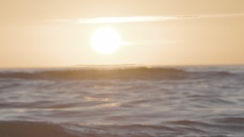 artifact_1.1.1 2.jpg