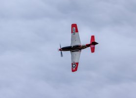 P51.jpg