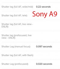Shutter_lag_Sony_A9.jpg