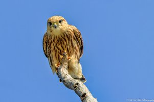 20210822 4042-01.jpg