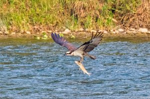 20210804 4035-01.jpg