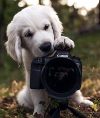 Screen Shot 2021-08-26 at 1.30.21 PM.png