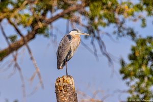 20210821 1142-01.jpg