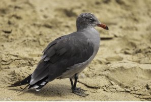 Newport August 2021_0109.jpg