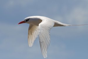 DSC_0989_DxO.jpg DSC_0989_DxO.jpg