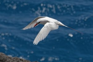 DSC_1388_DxO.jpg DSC_1388_DxO.jpg