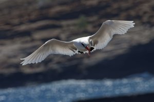 DSC_1431_DxO.jpg DSC_1431_DxO.jpg