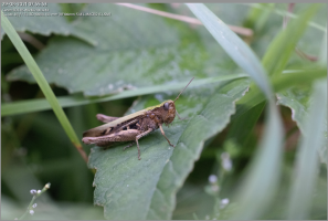 Schermafbeelding 2021-09-06 om 18.10.50.png