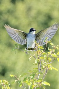 _36A4685_DxO 2.40.22 PM.jpg