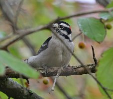 5D3_8279 - Copy ps3 fix.jpg