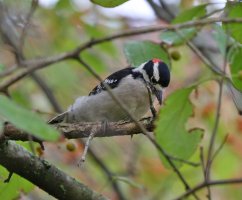 5D3_8318 - Copy ps3 fix.jpg