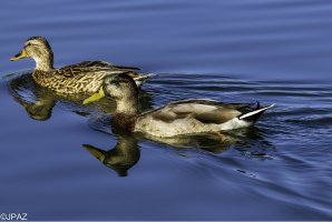 Soccer October 2021_0002-Edit.jpg