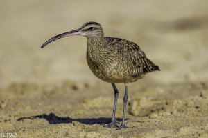 Newport September 2021_0145.jpg