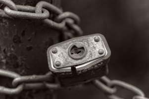 _V2A3186_DxO copy.jpg