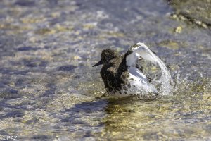 Newport September 2021_0805.jpg