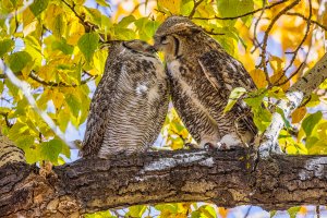 20211009 6941-01.jpg