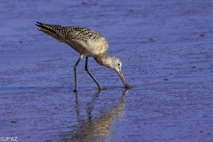 Newport September 2021_0592.jpg