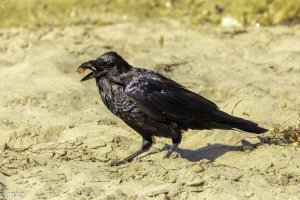 Newport September 2021_0049.jpg