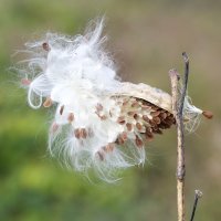 IMG_3585 Small.jpg