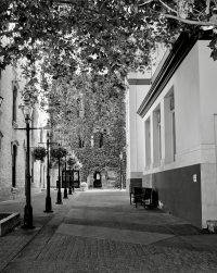 Apple Photos Document.jpg