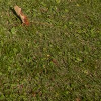 IMG_2783pse no dist comp corner.jpg